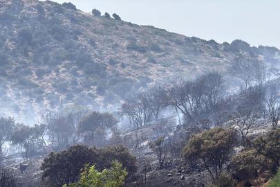 Bodrum'da makilik alanda çıkan yangın kontrol altında