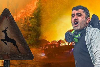 73 orman yangınına soruşturma. 12 kişi tutuklandı