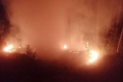 Alanya'da orman yangınında 2 dönüm alan zarar gördü