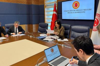 TBMM Dilekçe Komisyonu'na ilginç talepler. "İstanbul kışlık, Ankara yazlık başkent olsun"