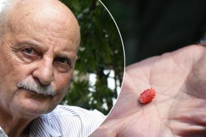 Üç kıta ve 50 farklı ülkeden topladı! Karadeniz'de imkansızı başardı