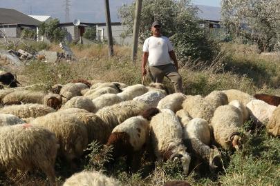 80 bin TL maaş veriyor, çalışacak adam bulamıyor. 40 derece sıcakta zorlu mesai