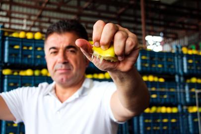 Bahçede 5 TL ama markette 100 TL'den alıcı buluyor. Tam 20 katlık fiyat uçurumu